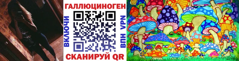 где купить наркоту  Кунгур  Псилоцибиновые грибы Cubensis 