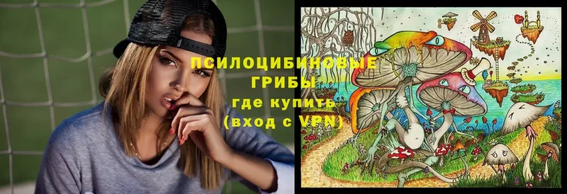 Псилоцибиновые грибы мицелий  Кунгур 