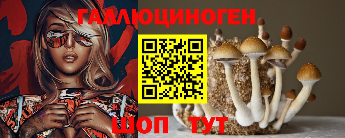 Галлюциногенные грибы Psilocybe  Псилоцибиновые грибы Psilocybe  Кунгур 