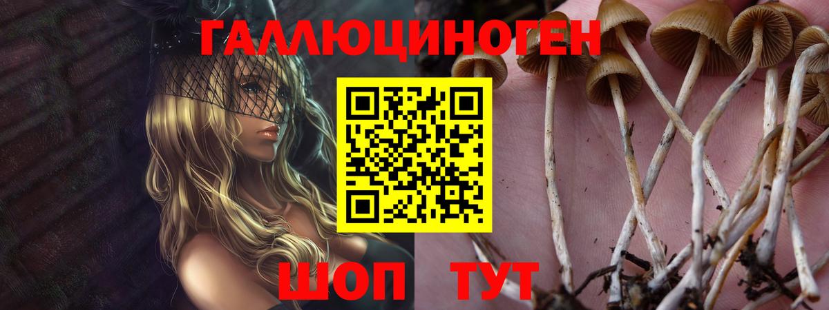 Псилоцибиновые грибы мухоморы  Вход с VPN  Кунгур 
