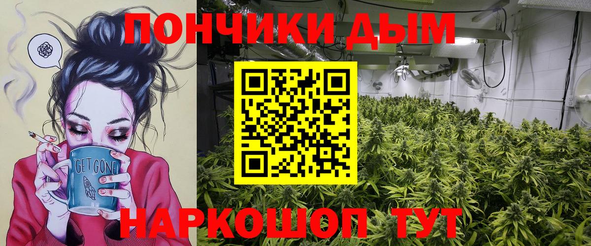 Бошки марихуана ГИДРОПОН  Вход с VPN  Кунгур  Бошки марихуана индика  МАРИХУАНА план 